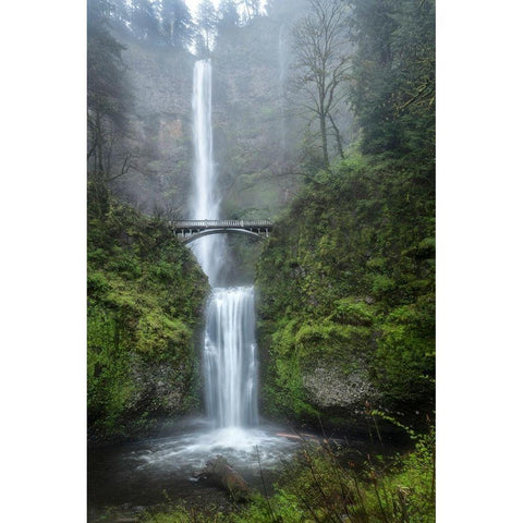 Dreamland White Modern Wood Framed Art Print by Head, Danny