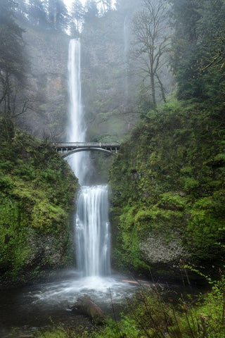 Dreamland Black Ornate Wood Framed Art Print with Double Matting by Head, Danny