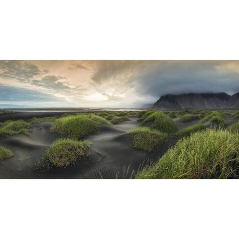 Black Dunes Panorama White Modern Wood Framed Art Print by Head, Danny