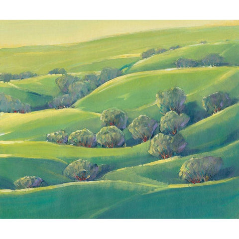 Hillside View I White Modern Wood Framed Art Print by OToole, Tim