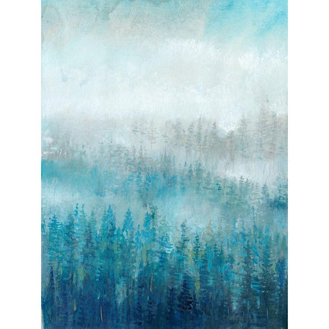 Above the Mist I Black Modern Wood Framed Art Print with Double Matting by OToole, Tim