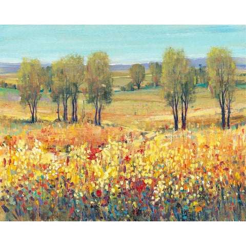 Golden Fields I White Modern Wood Framed Art Print by OToole, Tim