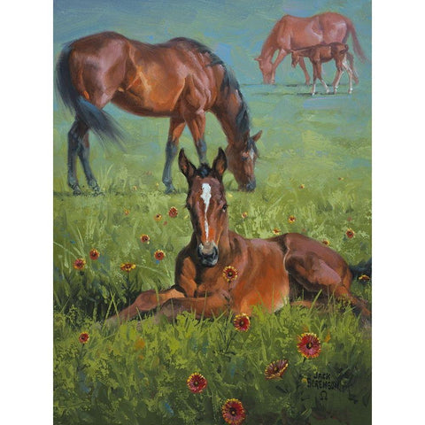 Indian Blanket Black Modern Wood Framed Art Print with Double Matting by Sorenson, Jack