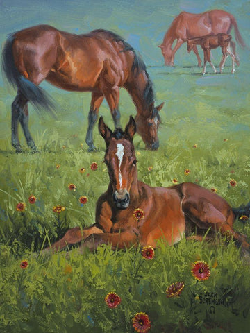 Indian Blanket White Modern Wood Framed Art Print with Double Matting by Sorenson, Jack