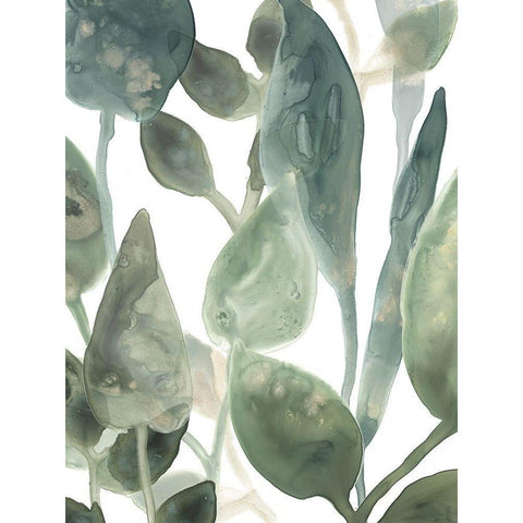 Water Leaves IV Black Modern Wood Framed Art Print with Double Matting by Vess, June Erica