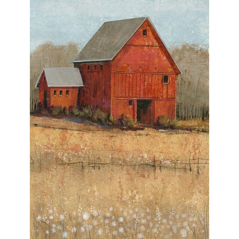 Red Barn View II Black Modern Wood Framed Art Print with Double Matting by OToole, Tim