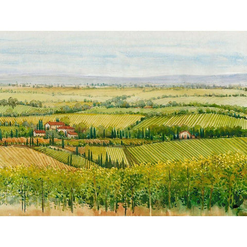 Wine Country View I Gold Ornate Wood Framed Art Print with Double Matting by OToole, Tim