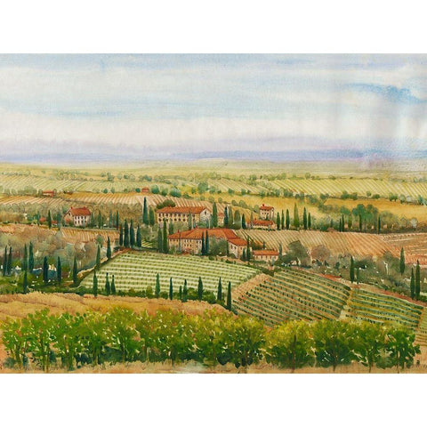 Wine Country View II Gold Ornate Wood Framed Art Print with Double Matting by OToole, Tim