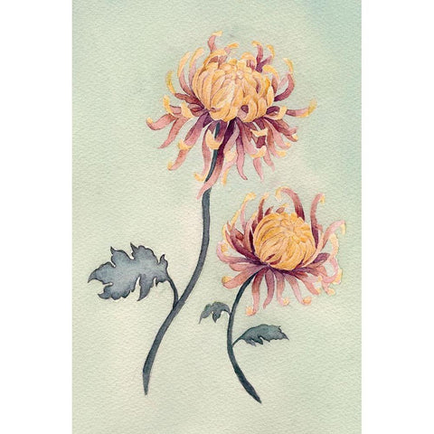 Chrysanthemum Beauty II Gold Ornate Wood Framed Art Print with Double Matting by Chabot, Natasha