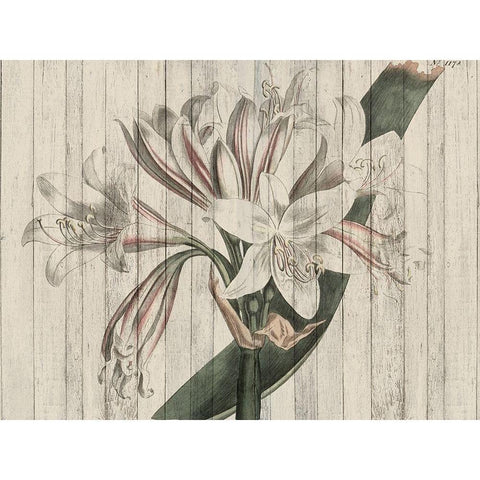Rustic Floral II Gold Ornate Wood Framed Art Print with Double Matting by Studio W