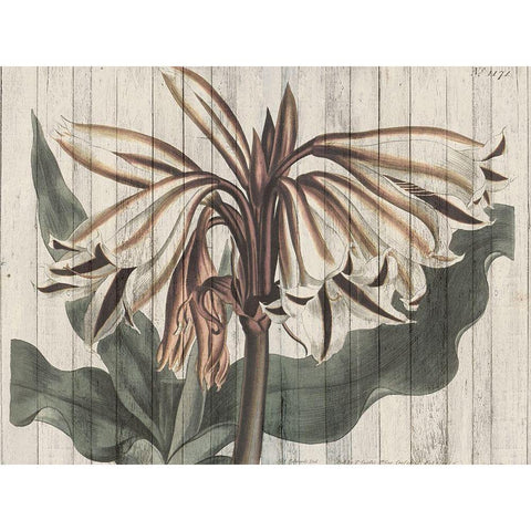 Rustic Floral III Gold Ornate Wood Framed Art Print with Double Matting by Studio W