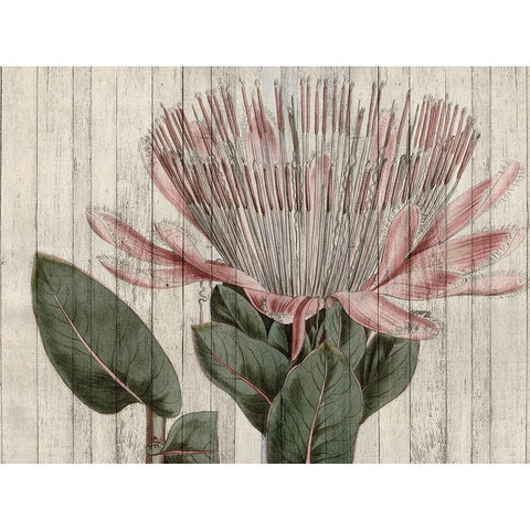 Rustic Floral IV White Modern Wood Framed Art Print by Studio W