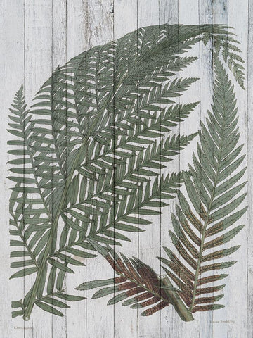 Rustic Greenery I Black Ornate Wood Framed Art Print with Double Matting by Studio W