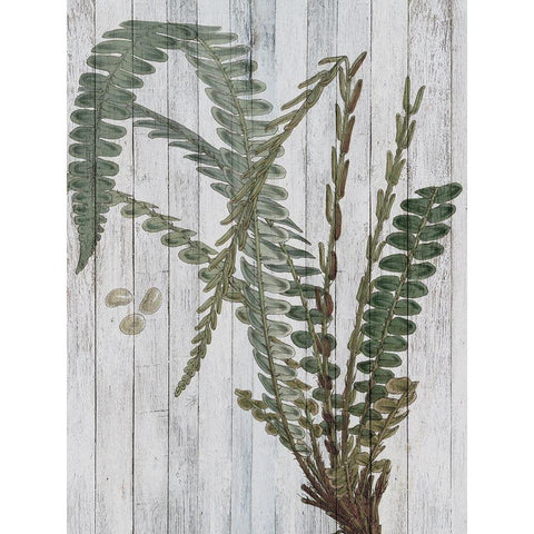 Rustic Greenery IV Gold Ornate Wood Framed Art Print with Double Matting by Studio W