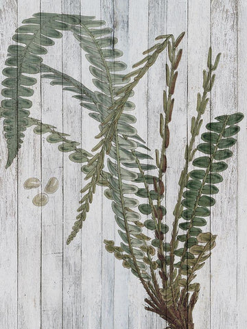 Rustic Greenery IV White Modern Wood Framed Art Print with Double Matting by Studio W