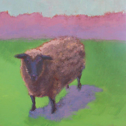 Pasture Sheep Black Ornate Wood Framed Art Print with Double Matting by Young, Carol