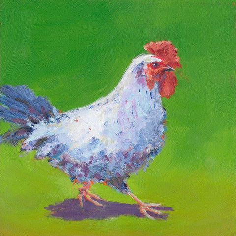 Pasture Henrietta I White Modern Wood Framed Art Print by Young, Carol