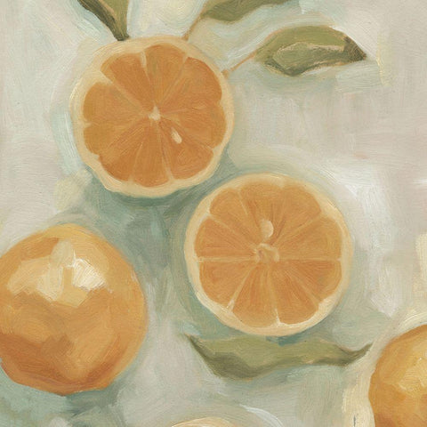 Citrus Study in Oil I Black Ornate Wood Framed Art Print with Double Matting by Scarvey, Emma