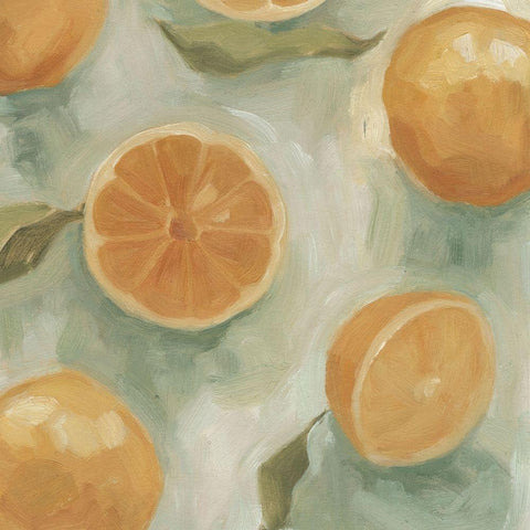 Citrus Study in Oil II White Modern Wood Framed Art Print by Scarvey, Emma