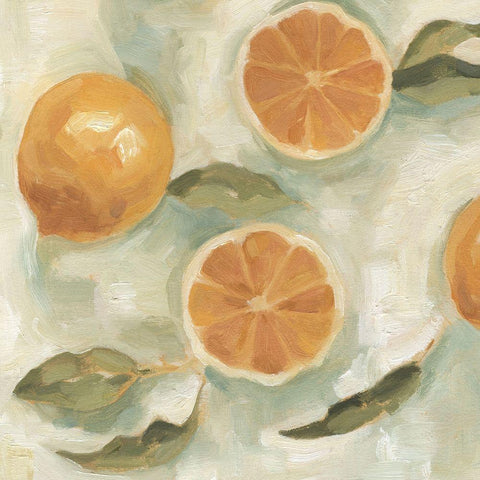 Citrus Study in Oil III White Modern Wood Framed Art Print with Double Matting by Scarvey, Emma