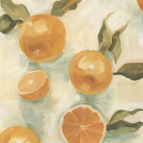 Citrus Study in Oil IV White Modern Wood Framed Art Print with Double Matting by Scarvey, Emma