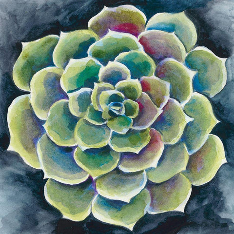 Succulent Rosette II White Modern Wood Framed Art Print by Zarris, Chariklia