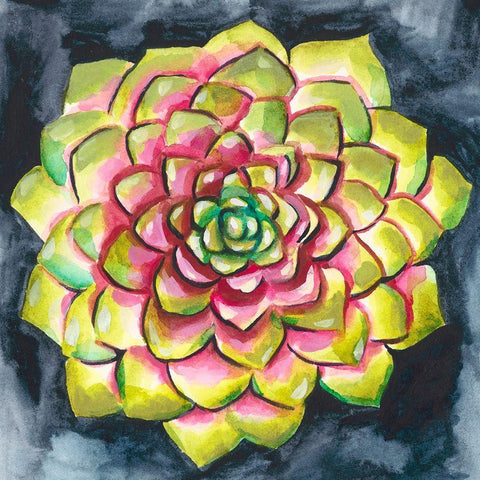 Succulent Rosette III White Modern Wood Framed Art Print by Zarris, Chariklia