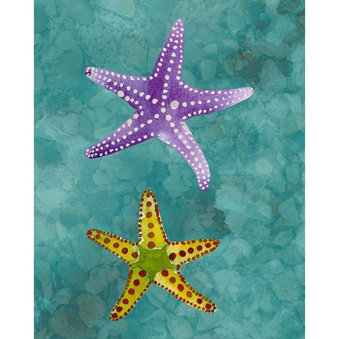 Twin Starfish II Black Modern Wood Framed Art Print by Ludwig, Alicia