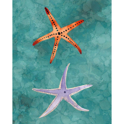 Twin Starfish III Black Modern Wood Framed Art Print by Ludwig, Alicia