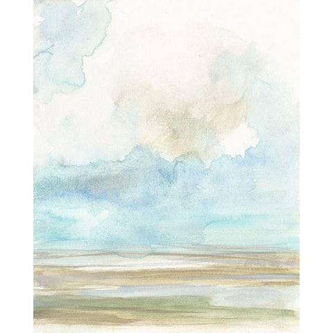 Clouds over the Marsh II Black Modern Wood Framed Art Print with Double Matting by Goldberger, Jennifer