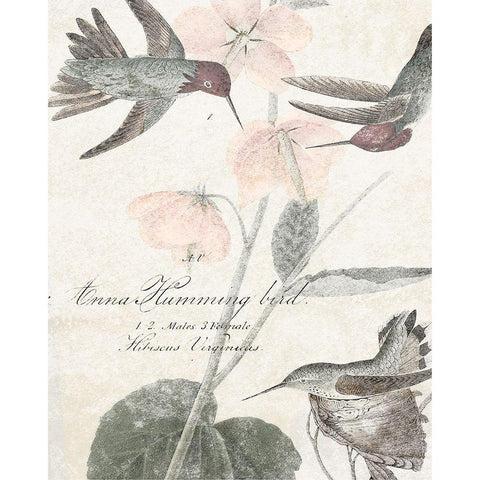 Soft Hummingbirds I White Modern Wood Framed Art Print by Studio W