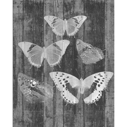 Rustic Butterfly Chart II Gold Ornate Wood Framed Art Print with Double Matting by Goldberger, Jennifer