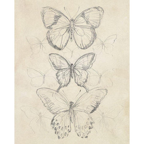 Vintage Butterfly Sketch I White Modern Wood Framed Art Print by Vess, June Erica