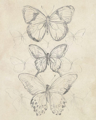 Vintage Butterfly Sketch I White Modern Wood Framed Art Print with Double Matting by Vess, June Erica