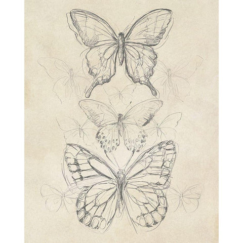 Vintage Butterfly Sketch II Black Modern Wood Framed Art Print with Double Matting by Vess, June Erica