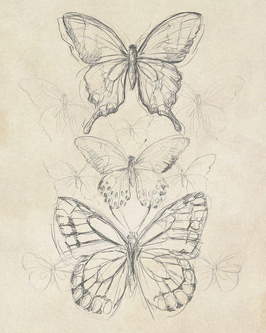 Vintage Butterfly Sketch II White Modern Wood Framed Art Print with Double Matting by Vess, June Erica