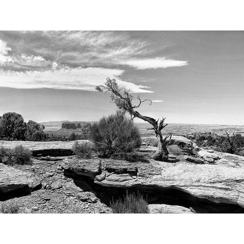 Canyon Lands IV White Modern Wood Framed Art Print by Guthrie, Jenna