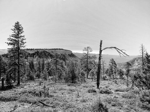 Canyon Lands V Black Ornate Wood Framed Art Print with Double Matting by Guthrie, Jenna