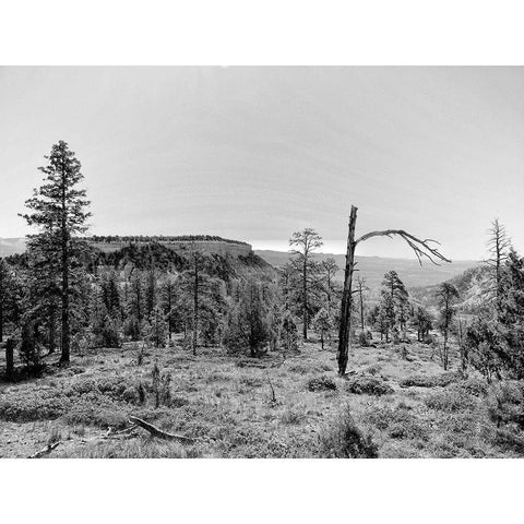 Canyon Lands V Black Modern Wood Framed Art Print by Guthrie, Jenna