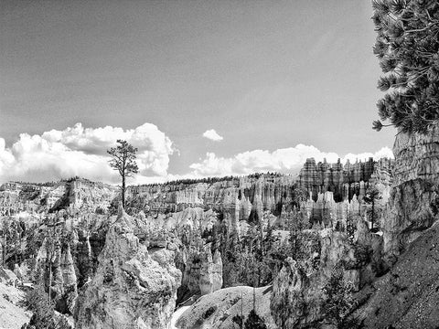 Canyon Lands VI Black Ornate Wood Framed Art Print with Double Matting by Guthrie, Jenna