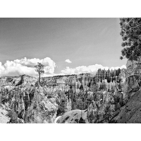 Canyon Lands VI Gold Ornate Wood Framed Art Print with Double Matting by Guthrie, Jenna