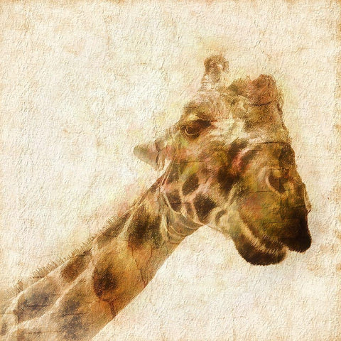 Inspektor II Black Modern Wood Framed Art Print by Hartson-Weddle, Ryan