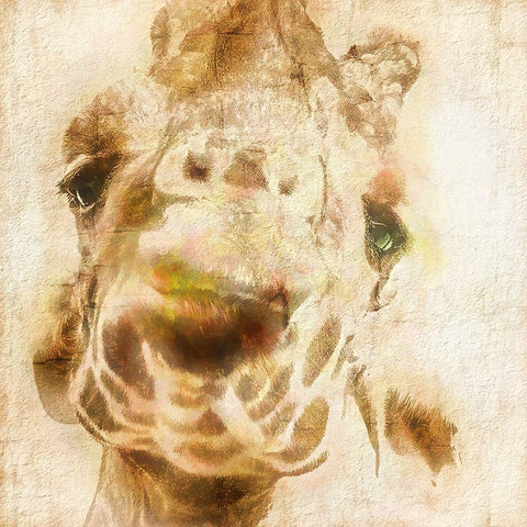 Inspektor IV Black Modern Wood Framed Art Print by Hartson-Weddle, Ryan