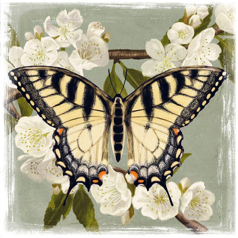 Butterfly Branch II Gold Ornate Wood Framed Art Print with Double Matting by Borges, Victoria