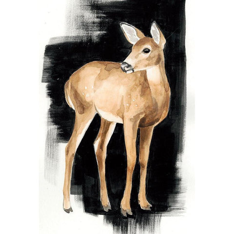 Custom Nocturnal II White Modern Wood Framed Art Print by Popp, Grace