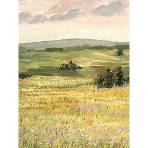 Morning Meadow II Black Modern Wood Framed Art Print with Double Matting by Borges, Victoria