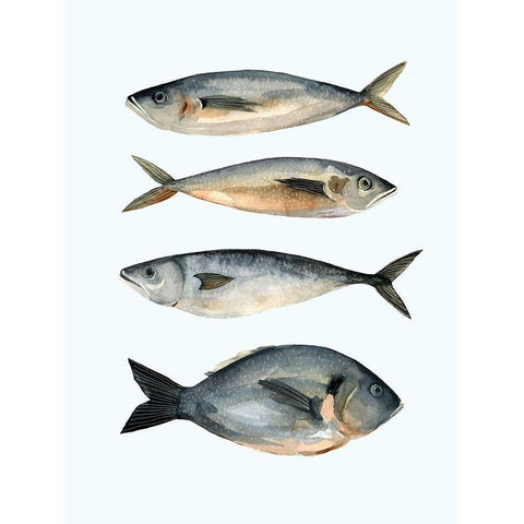 Four Fish I Black Modern Wood Framed Art Print with Double Matting by Scarvey, Emma