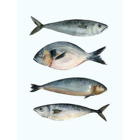 Four Fish II White Modern Wood Framed Art Print by Scarvey, Emma