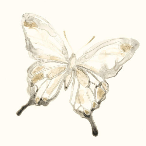 Sepia Butterfly Impressions IV White Modern Wood Framed Art Print by Vess, June Erica