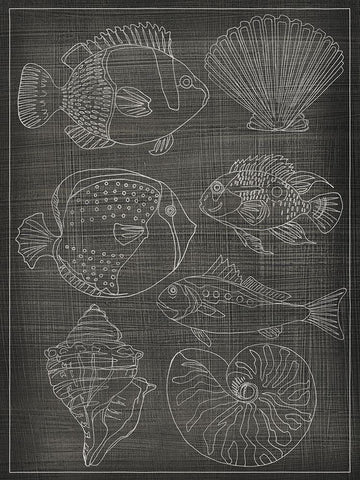 Sea Chart I Black Ornate Wood Framed Art Print with Double Matting by Zarris, Chariklia